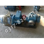 高粘度羅茨泵,LC羅茨油泵,羅茨油泵,羅茨泵