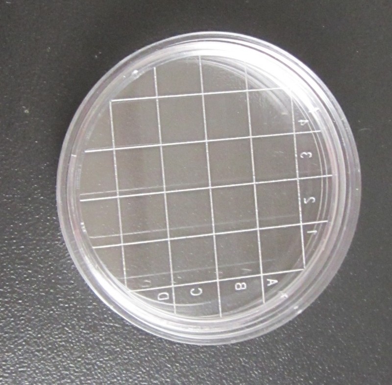 QQ圖片20190322091959