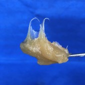 高速重負荷軸承脂 多功能鋰基潤滑脂