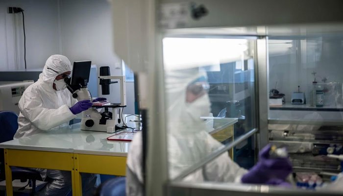 美國科學 創建了 個 狀病毒3D原子比例圖