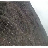 河北衡水主動防護網