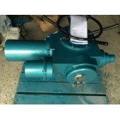 整體型閥門電動裝置DZW20-24-A00-WK
