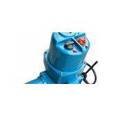 Q120-1Z開關(guān)型電動頭