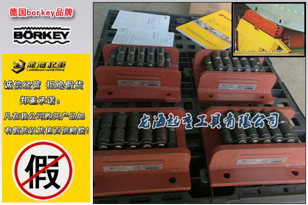 德國AM系列載重搬運車圖片